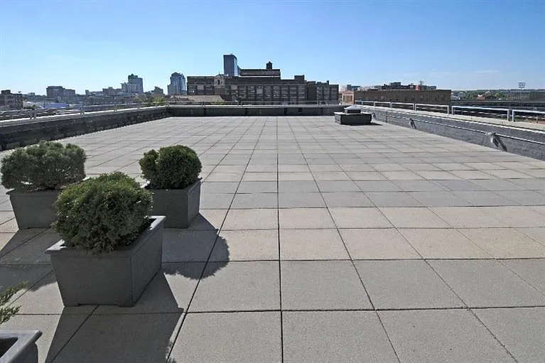 The Firefly - Photo 2